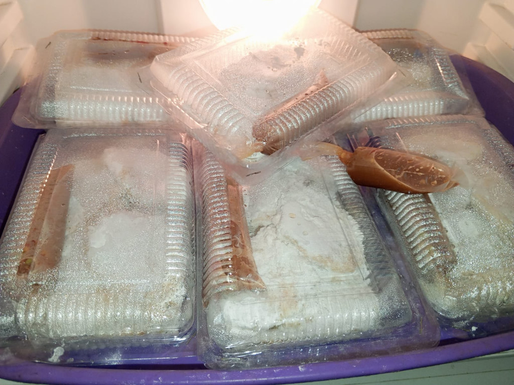 Lumpia siap dibekukan